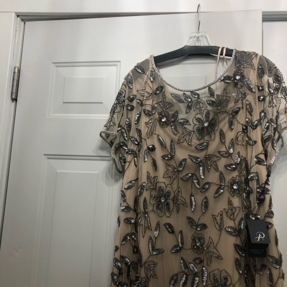 Adrianna Papell Embellished black tie Dress in Blush and Silver - Picture 3 of 6